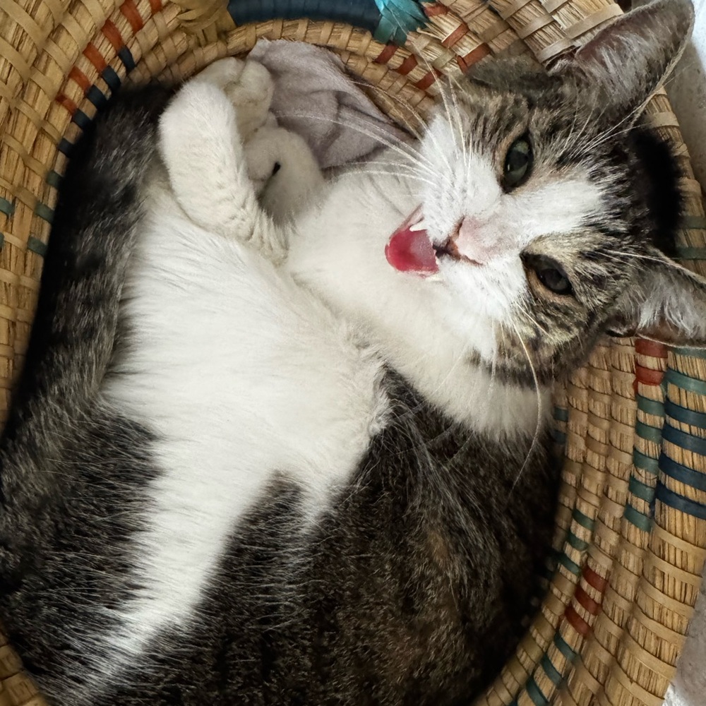 Meet your Posher, Tara